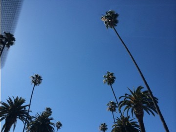 Los Angeles, March 2014