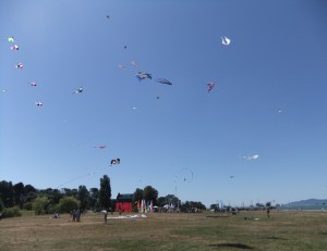 kites behind the Planetarium